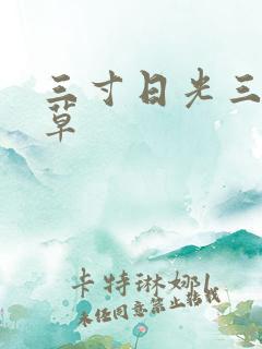 三寸日光三月微草