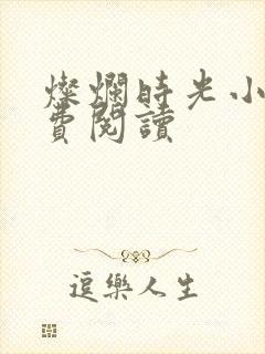 灿烂时光小说免费阅读