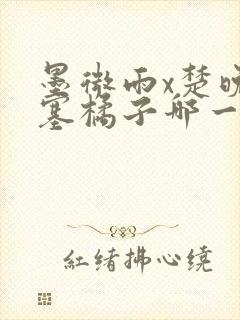 墨微雨x楚晚宁塞橘子哪一章