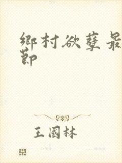 乡村欲孽最新章节