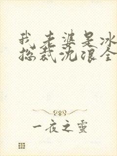 我老婆是冰山女总裁沈浪全集