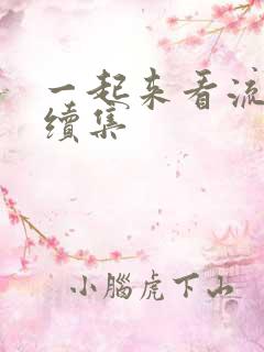 一起来看流星雨续集