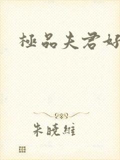 极品夫君好又多