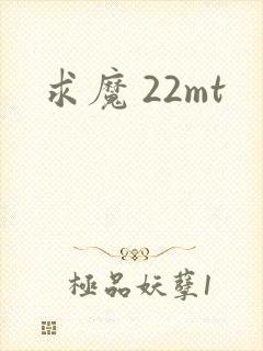 求魔 22mt