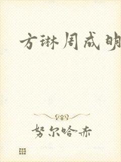 方琳周成明小说