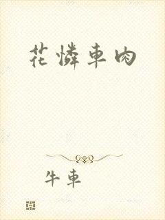 花怜车肉
