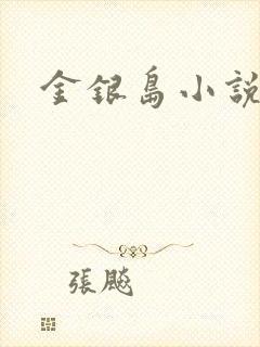金银岛小说
