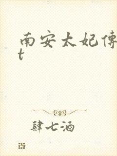 南安太妃传txt
