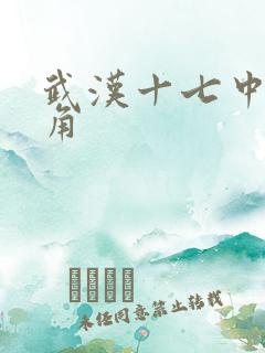 武汉十七中女主角