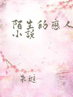 陌生的恋人原著小说