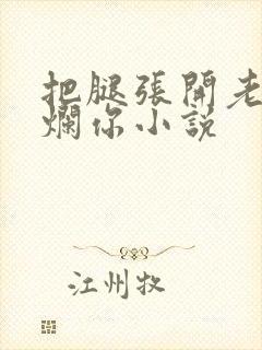 把腿张开老子臊烂你小说