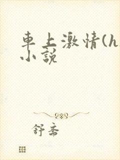 车上激情(h)小说