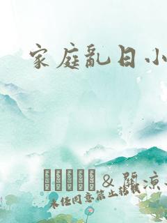 家庭乱日小说