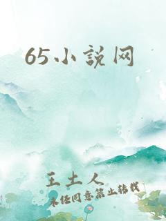 65小说网