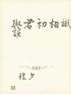 与君初相识 小说