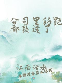 公司里的艳妇们都熟透了