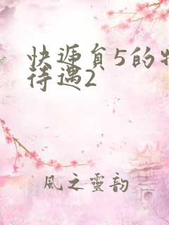 快递员5的特殊待遇2