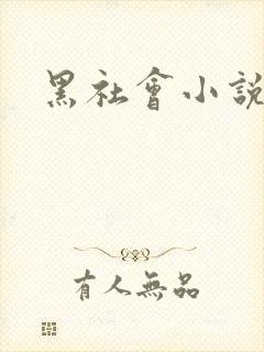 黑社会小说下载
