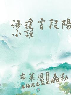 洛琼霄段阳澍的小说