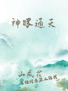 神眼通天