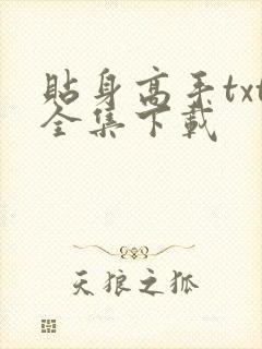 贴身高手txt全集下载