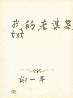 我的老婆是警察txt