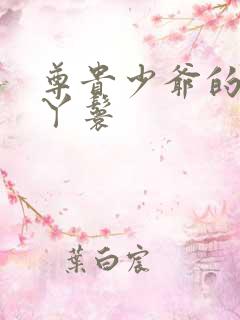 尊贵少爷的大牌丫鬟