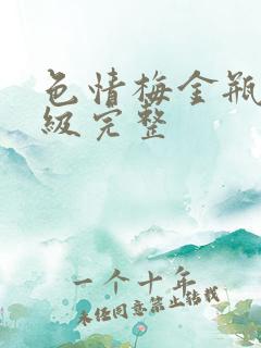 色情梅金瓶2三级完整