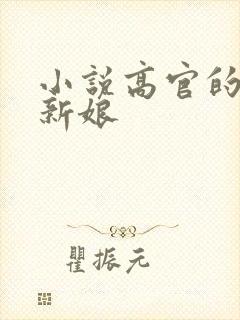 小说高官的暗夜新娘