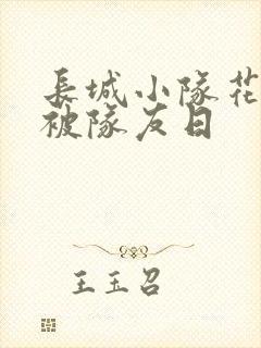 长城小队花木兰被队友日