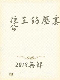 狼王的压寨小相公