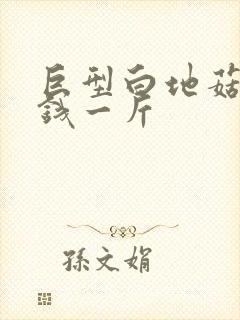 巨型白地菇多少钱一斤