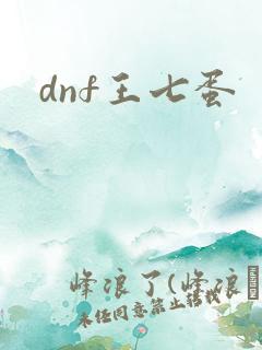 dnf王七蛋