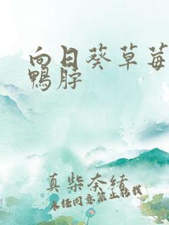 向日葵草莓丝瓜鸭脖