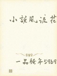 小说风流花少