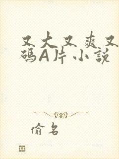 又大又爽又黄无码A片小说