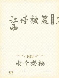 江停被严峫塞东西