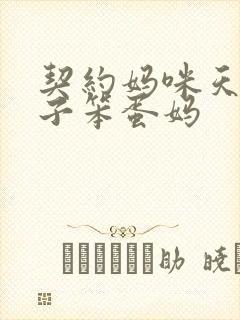 契约妈咪天才儿子笨蛋妈