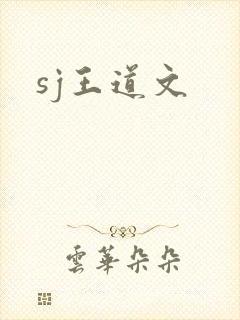 sj王道文