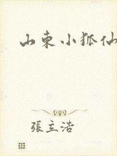 山东小狐仙