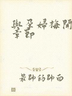 与孕妇梅开三度章节