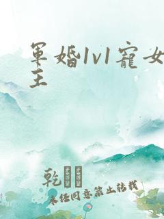 军婚1v1宠女主