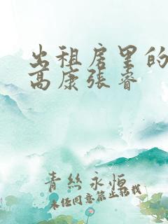 出租房里的交互高康张睿