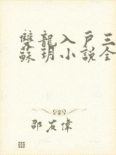 双龙入户三人行苏玥小说全文阅读