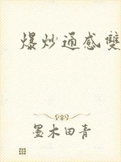 爆炒通感双胞胎