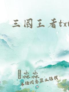 三国王者txt