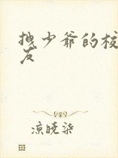 拽少爷的校花女友