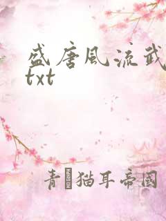 盛唐风流武状元txt