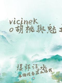 vicineko胡桃与魅之恶魔