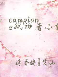 campione弑神者小说